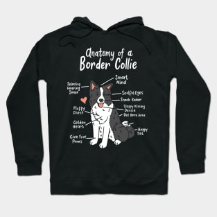 Border Collie Hoodie